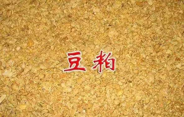 微信图片_20211117110536.jpg